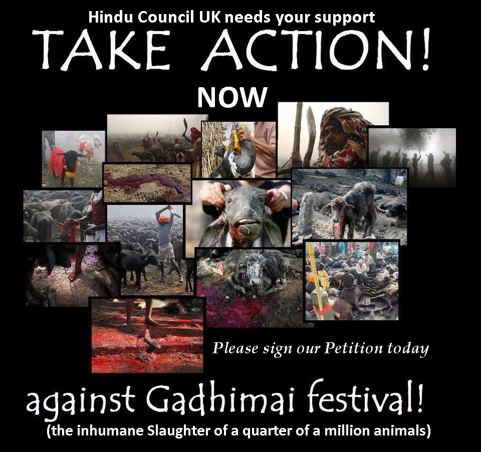 Hindu Council UK joins forces with Compassion in World Farming to stop the Gadhimai’ Festival in Nepal